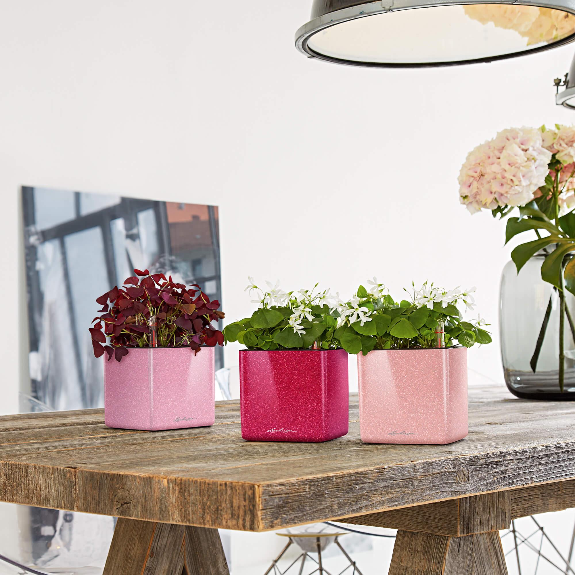 （展示商品 美品）THREEUP GRANLUXE GX SERIES LECHUZA planter CUBE Glossy Triple charcoal, 40x14x14cm